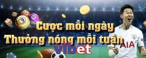 vibet
